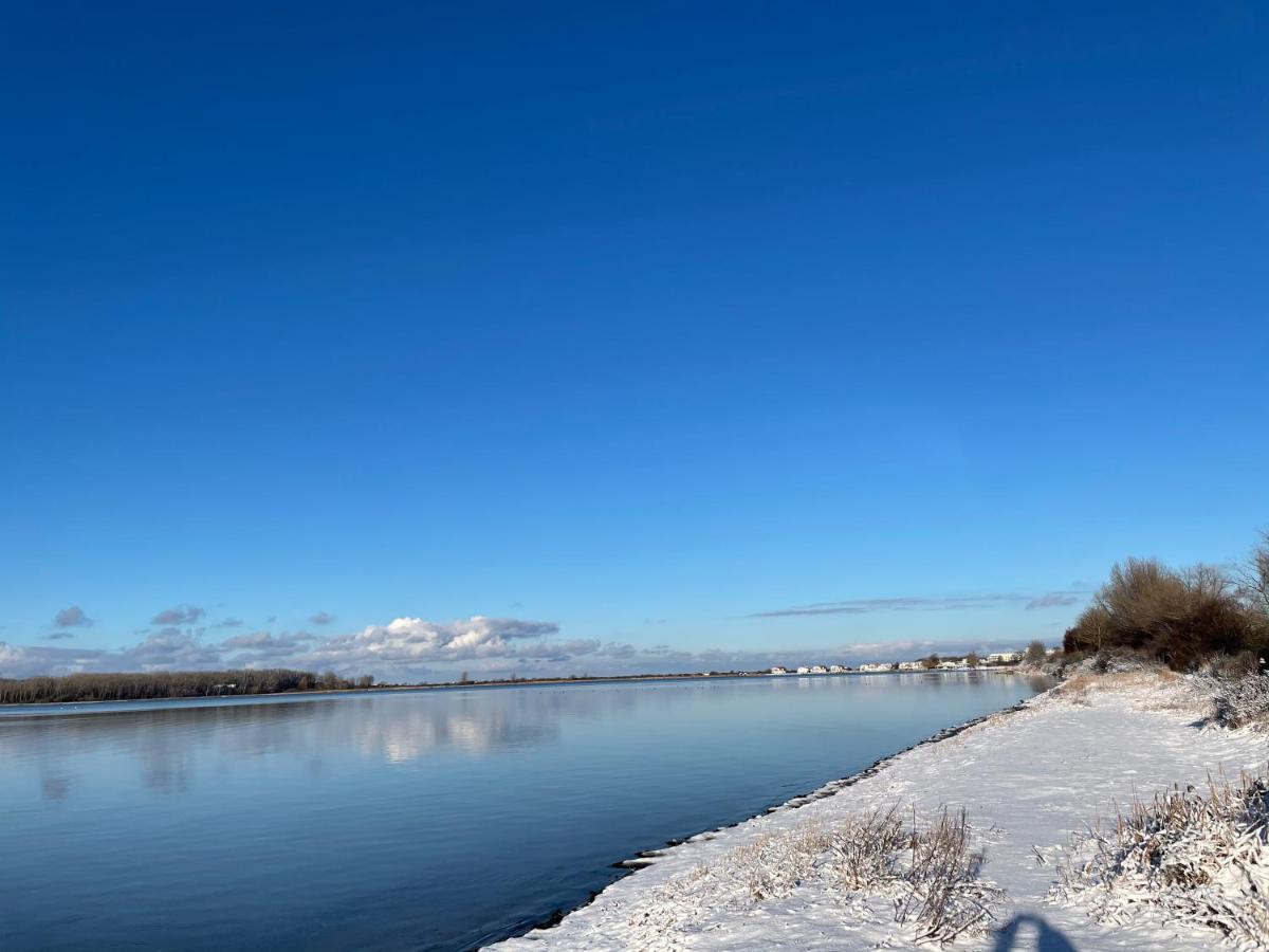 Top Ferienwohnung In Rerik - Nahe Salzhaff & Ostsee - Mit Gartenterrasse Exteriör bild