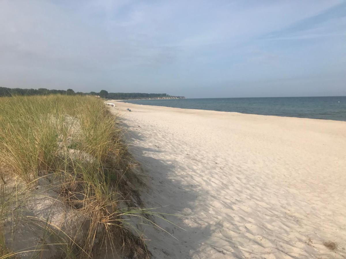 Top Ferienwohnung In Rerik - Nahe Salzhaff & Ostsee - Mit Gartenterrasse Exteriör bild