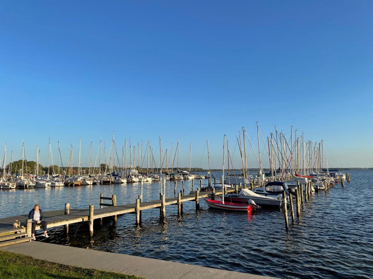 Top Ferienwohnung In Rerik - Nahe Salzhaff & Ostsee - Mit Gartenterrasse Exteriör bild